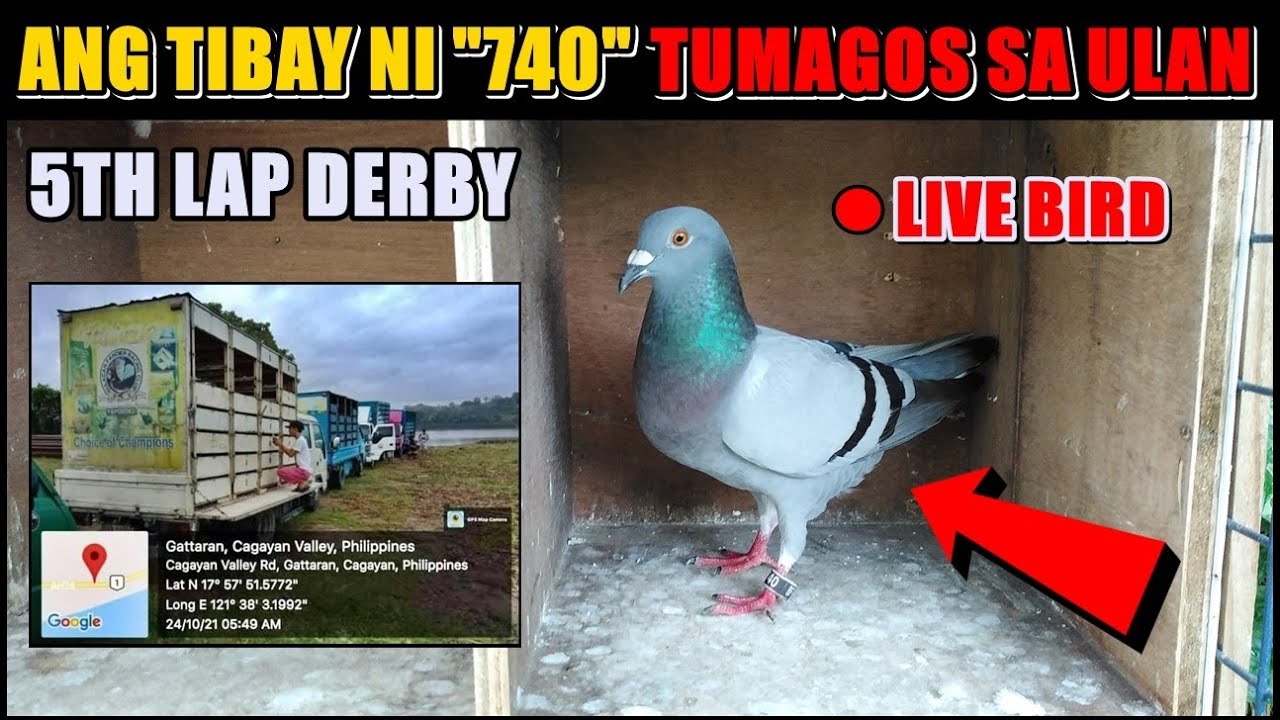 5TH LAP DERBY GATTARAN CAGAYAN SMASHED RACE NORTH 21 ARRIVAL