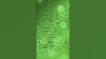 القارئ : حسين السليطين | سورة البلد #اكسبلور #تلاوة #قرآن #راحة_نفسية #قران_كريم #ترتيل #لايك #اجر