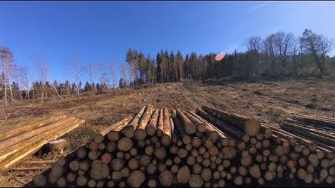 Great day ! Or not !! 💥  [FPV] / DRONE / [Vosges] Vortex Mojo 230