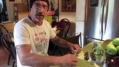 Palm seed germination made easy