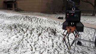 MARLO walking in the snow