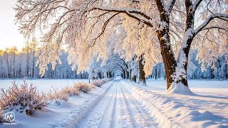 Relaxing Winter Vibes 2026 ❄️ Peaceful music and snowy nature for deep sleep, stress relief screenshot 3