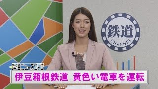 伊豆箱根鉄道 黄色い電車を運転【鉄道ニュース546】