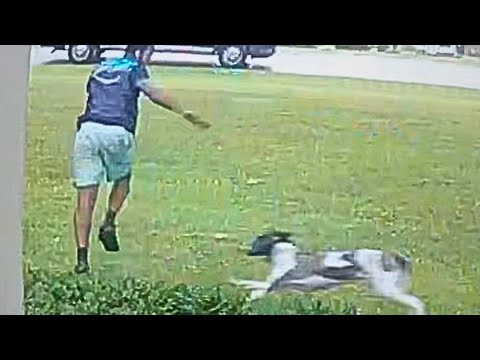 Best Delivery Driver Videos of the Decade caught on camera🧐 - YouTube