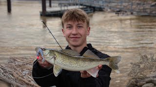 Walleye And Whiteb Fishing The Flooded Mississippi River, Mn Catch And Cook