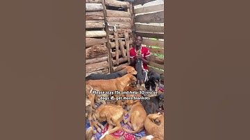 Donate via PayPal link in our bio or WhatsApp message me