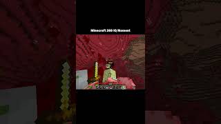Minecraft 269 IQ Moment 💀 #minecraft #shorts