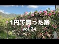 DIY『1円で買った家』 vol.24 止水栓はどこ？ x 刈り上げ x キッチンの壁解体 1 Cent House