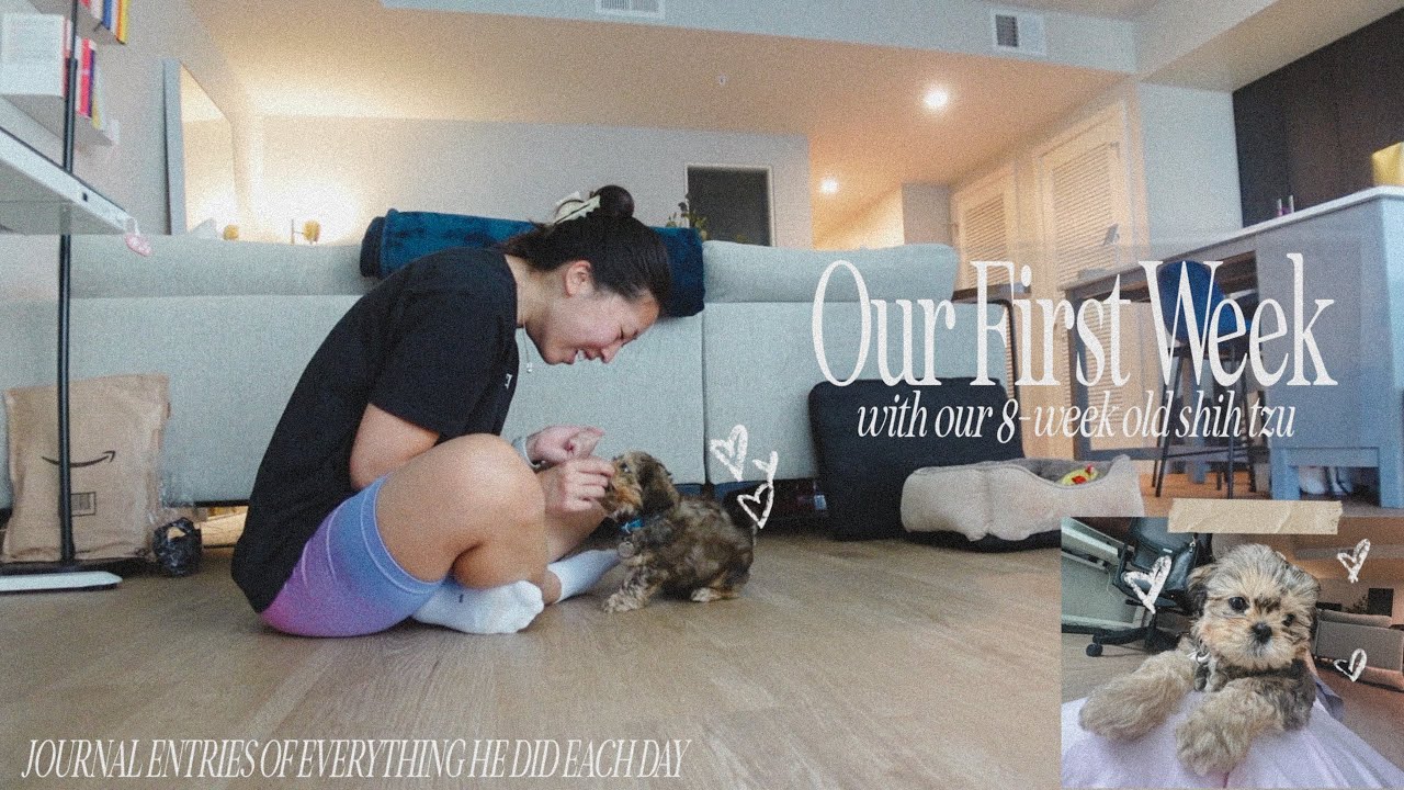 FIRST WEEK WITH A PUPPY: journal entries of EVERYTHING, accidents, learning his name, lessons & more