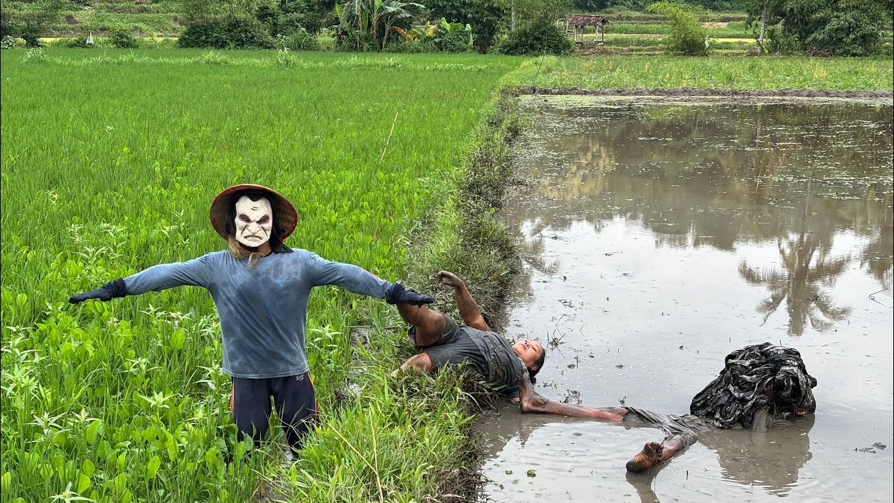 orang-orangan sawah prank ‼️ terlucu dan terngakak, kecebur dilumpur || the scarecrow prank