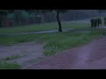 Gentle Rain Sounds for Sleeping, Meditation &amp; Relaxation Black Screen - 10 Hours
