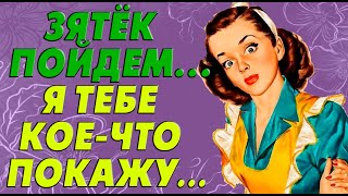 Тёща и зять, остались дома одни и… Реальная история из жизни!