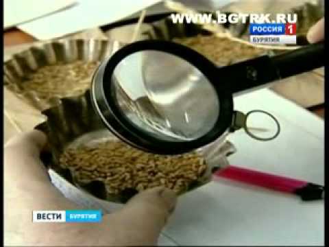 Ушла из жизни Анна Дубровская