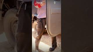 KGF chapter 3 in Bhutan