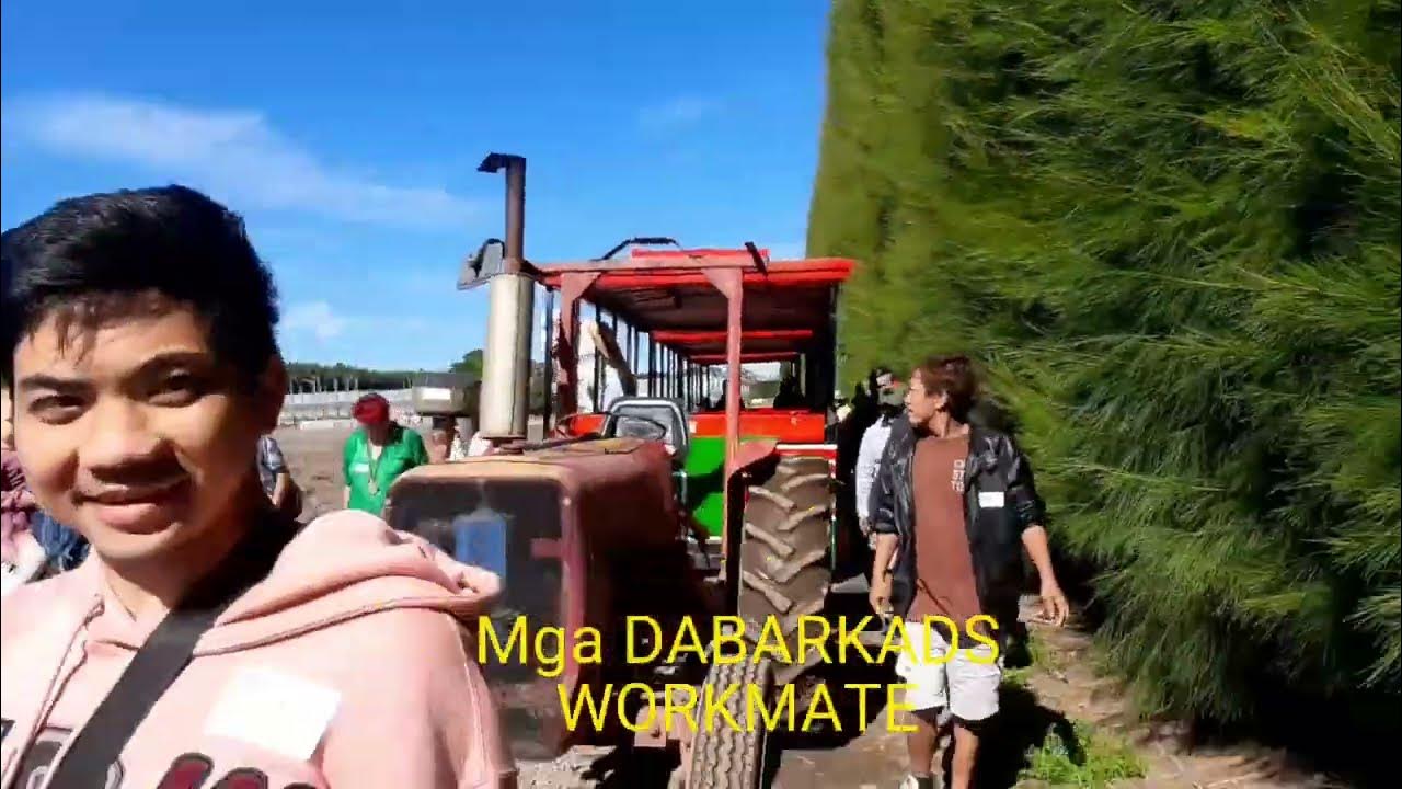 GOOD STRAWBERRY FARM AUCKLAND NEW ZEALAND.Pick.Eat.Play.🇵🇭🇳🇿🍓🍓🍓