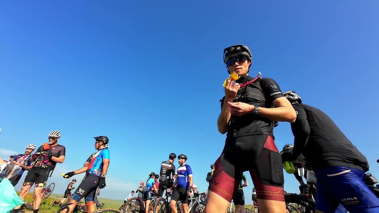 Rock Cobbler (Pebbler) 2026