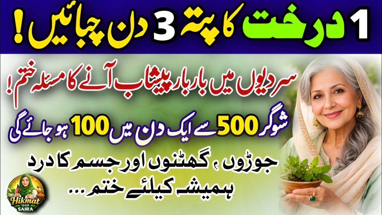 Quotes About life | Motivational Islamic Quotes | Golden Words | Rumi Quotes | Hazrat Ali Quotes