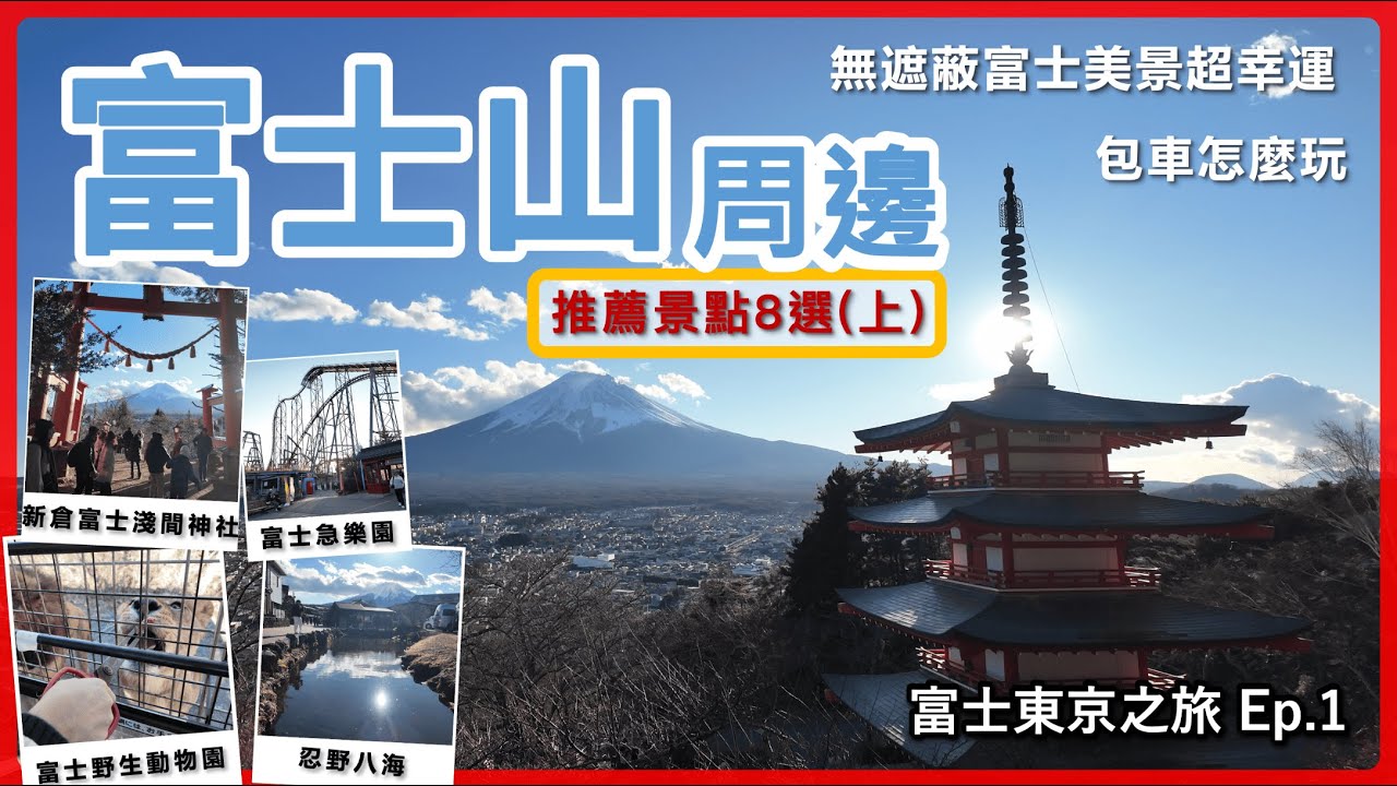 2025【富士山】必訪景點【上集】 超幸運富士美景連發 富士野生動物園餵獅子 忍野八海必逛必吃、超熱門打卡景點新倉山淺間公園 可惜沒玩遍的富士急樂園 富士東京自由行Ep.1