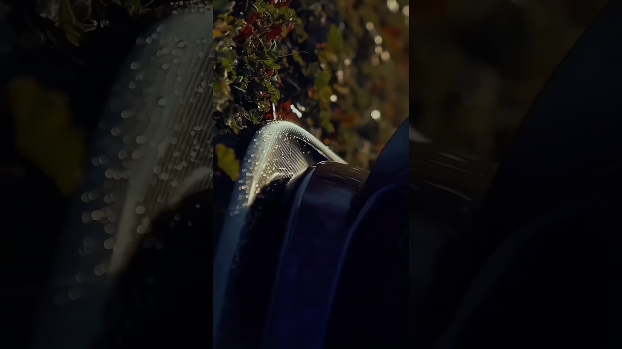 reel 1