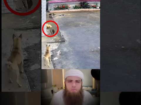 يؤخذ أبنها منها ولم تستطع أنقاذه تصاميم عبارات حالات وتس متابعه لايكي اكسبلاور