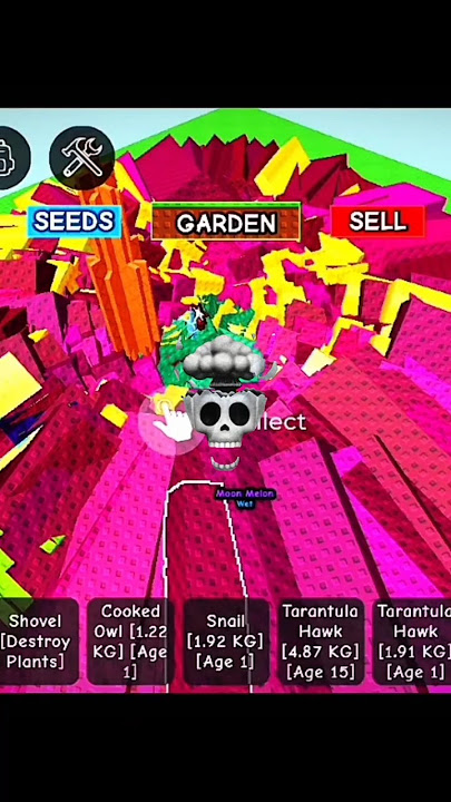 moon melon method grow a garden
