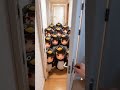 Pengmin Invasion! - Arknights: Endfield - Gugugaga