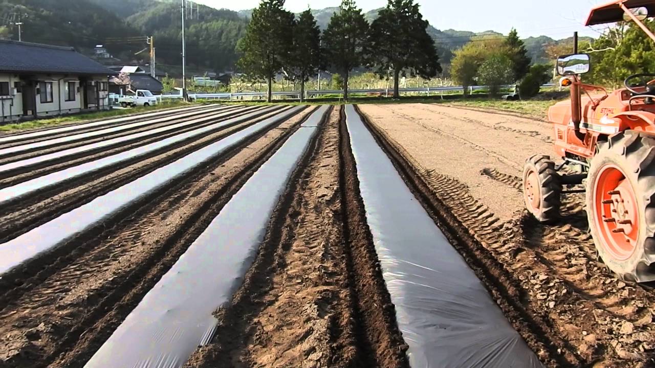 トラクターに人力マルチャーを付けて作業する - YouTube