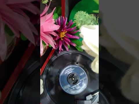 الفنان بطي فهد البذالي قلب الخطاء كلمات عبدالمحسن الرقاص 