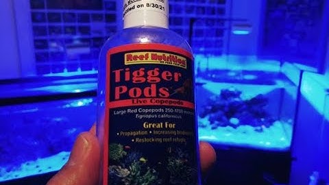 Adding Chaetomorpha, Tiggerpods, and ceramic rings to my Finnex hang on refugium