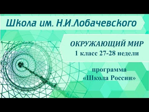 Окружающий мир 1 класс 27-28 недели. Почему солнце светит днем, а звезды – ночью.