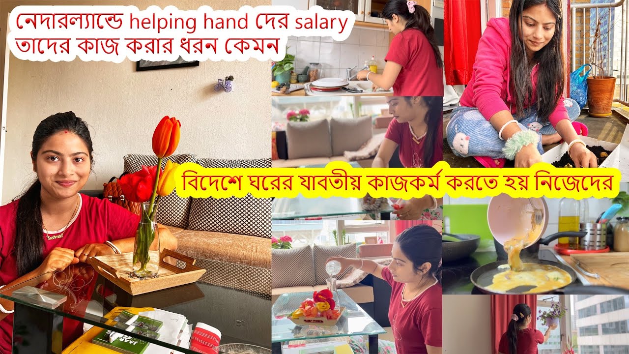 নেদারল্যান্ডে ঘরের যাবতীয় কাজকর্ম করতে হয় নিজেদের..helping hand দের salary ,তাদের কাজ করার ধরন কেমন।