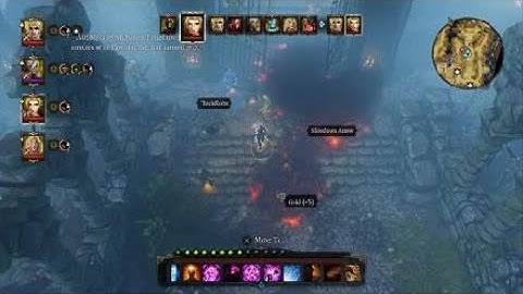 Divinity : Original Sin Enhanced Edition - FK You Diederik