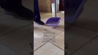 what does the dust fan and your gf have in common