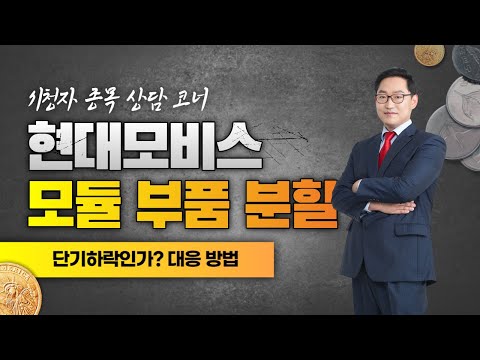   현대모비스 012330 모듈 부품 자회사로 분할 이슈로 주가 하락 하는데 어떻게 대응해야 할까요