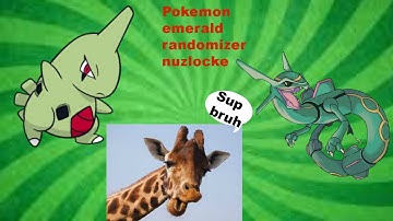 pokemon emerald randomizer nuzlocke and new intro and also i fixed that layout