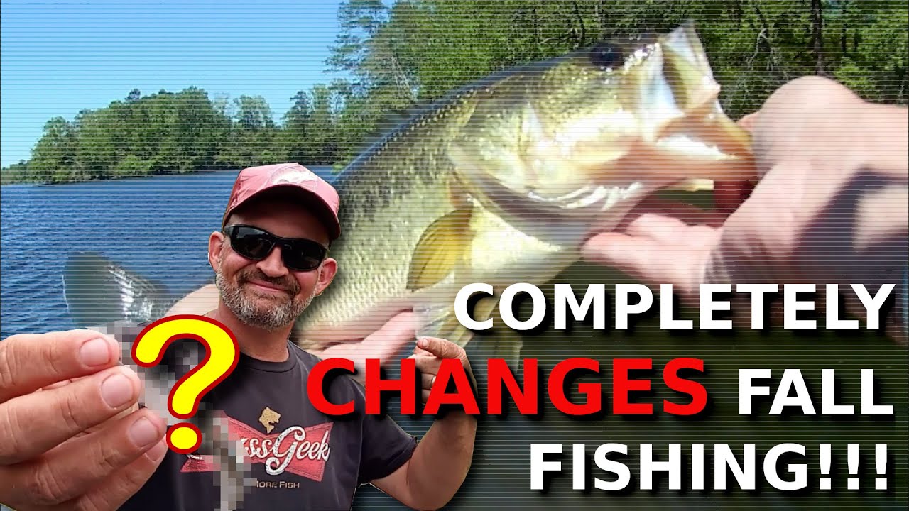 The ULTIMATE Swimbait Hack You DON'T KNOW!!!!