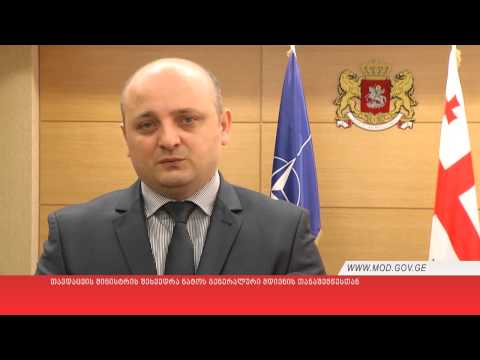 თავდაცვის მინისტრის შეხვედრა ნატოს გენერალური მდივნის თანაშემწესთან