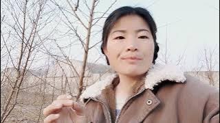 桃树花期最低多少温度能影响开花坐果，怎样延长花期提高坐果率