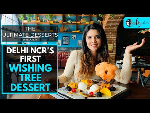 The Ultimate Desserts: Ep 9 | Delhi NCR's First Wishing Tree Dessert | Curly Tales