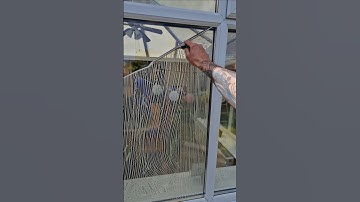 🙏SUBSCRIBE🙏 #windowcleaning #squeegee #shorts #viralvideo #fyp #oddlysatisfying #asmr #cleaning