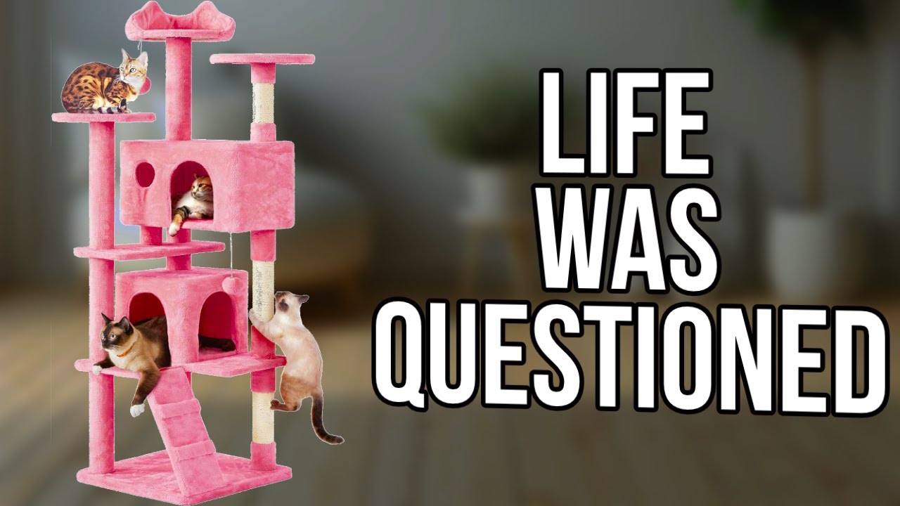 Yaheetech Cat Tree Build Was BRUTAL