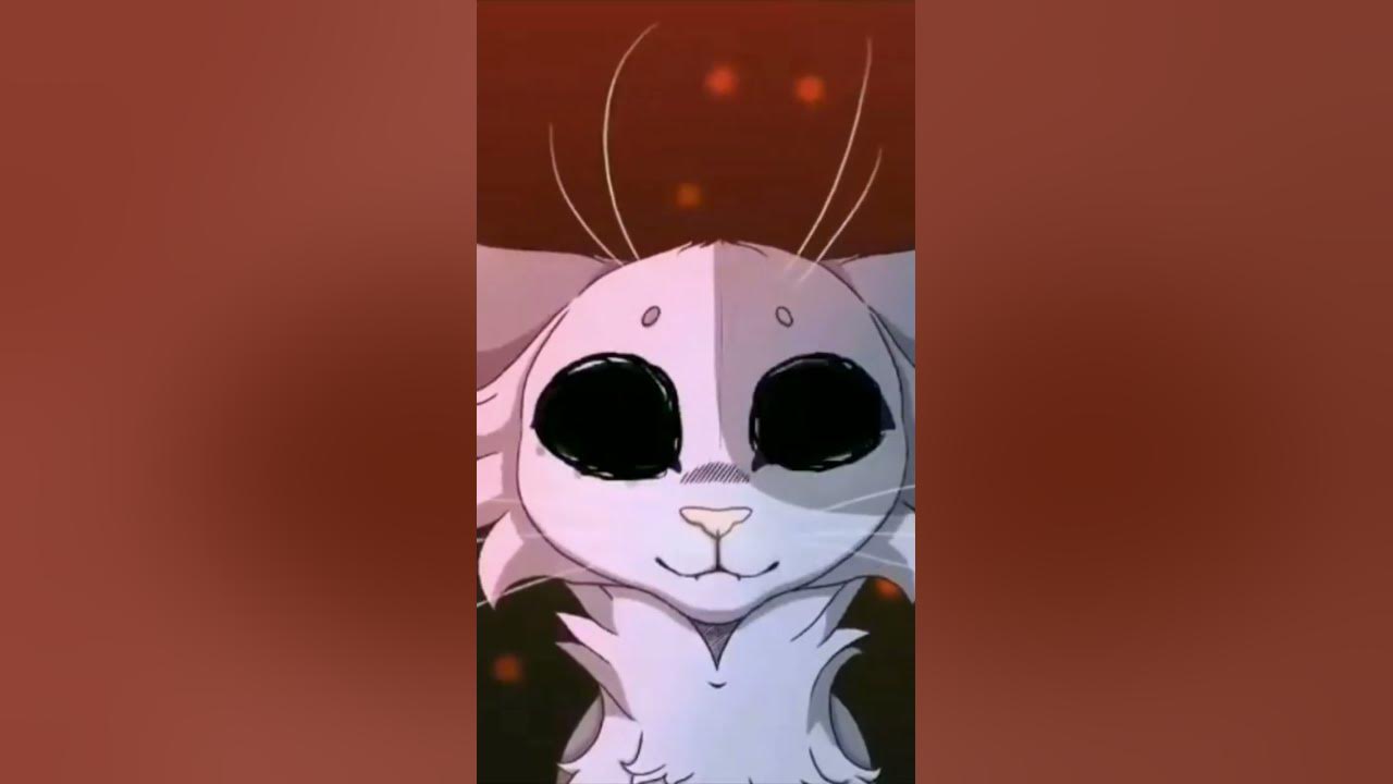 |Коты воители| |мошка| - YouTube