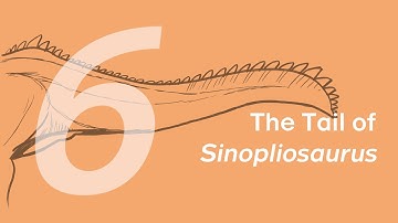 Chongzuo the “Sinopliosaurus” 6: The Tail | Learn to Draw Dinosaurs with ZHAO Chuang