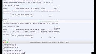 NetApp ONTAP DataProtection with SnapMirror 3