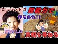 『ゆっくり解説』"稀代の霊能者"宜保愛子さんに、霊的心理とピラミッドの作成について聞いてみた。