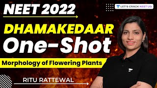 Morphology of Flowering Plants | Dhamakedaar One-Shot | Biology | NEET 2022 | Ritu Rattewal