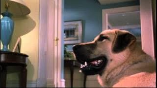 Cats & Dogs - Trailer