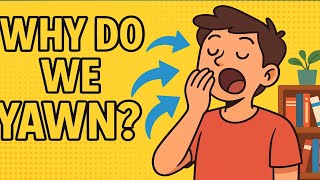 Why Do We Yawn? 6 Surprising Reasons Your Brain Can’t Stop