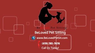 BeLoved Pet Sitting- Do you need a pet sitter?