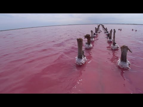 Розовое озеро Сасык Сиваш Евпатория 2021. Одно из самых красивых мест в Крыму. СОЛЬ и ЛЕЧЕБНЫЕ грязи